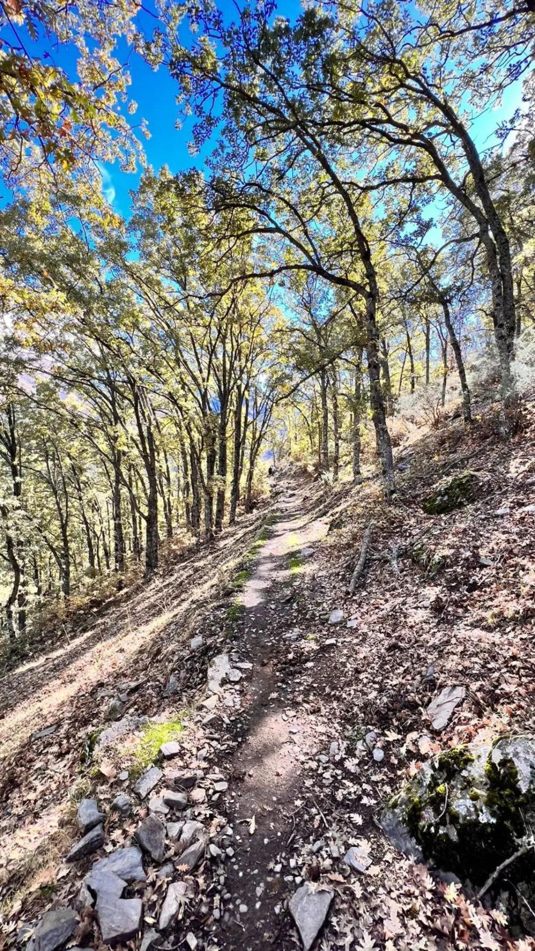 Casa A La Vera De La Sierra Guejar Sierra Buitenkant foto